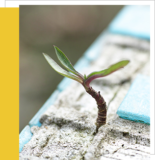 患者心聲:您們很重要